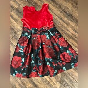 The Children's Place Velvet Red and Black Rose Dress